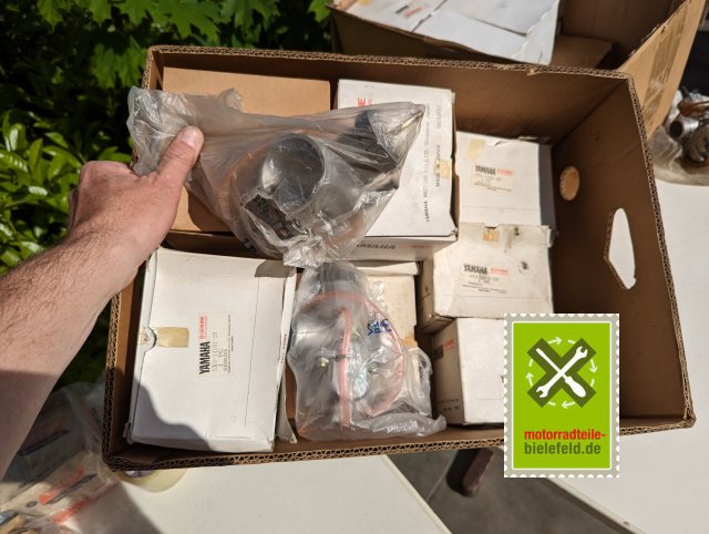 PXL_20240517_150410776